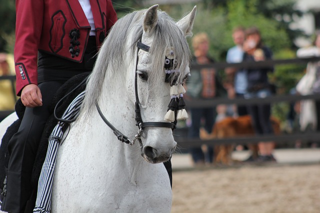 famous horse names